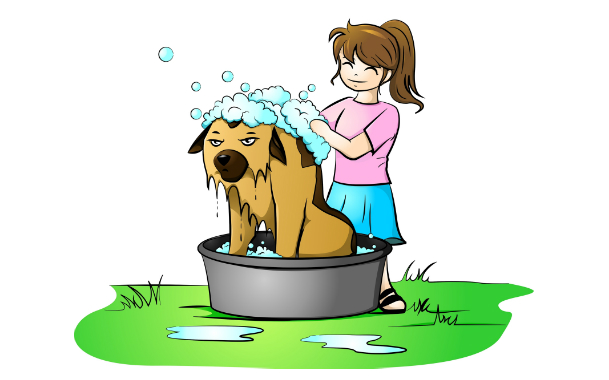 Эффективен ли шампунь от блох для собак, как часто мыть собаку и другие нюансы