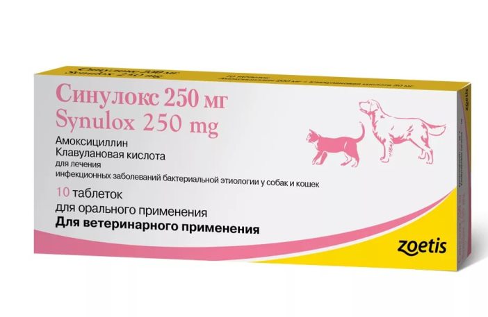Аллергия у кошек на лекарство от блох