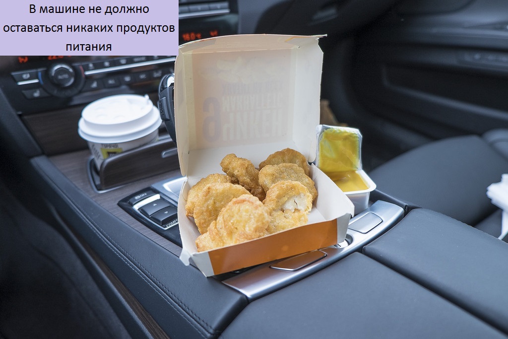 Еду по россии еду до конца. Перекус в машине. Машина для завтрака. Еда в машине. Еда в салоне автомобиля.