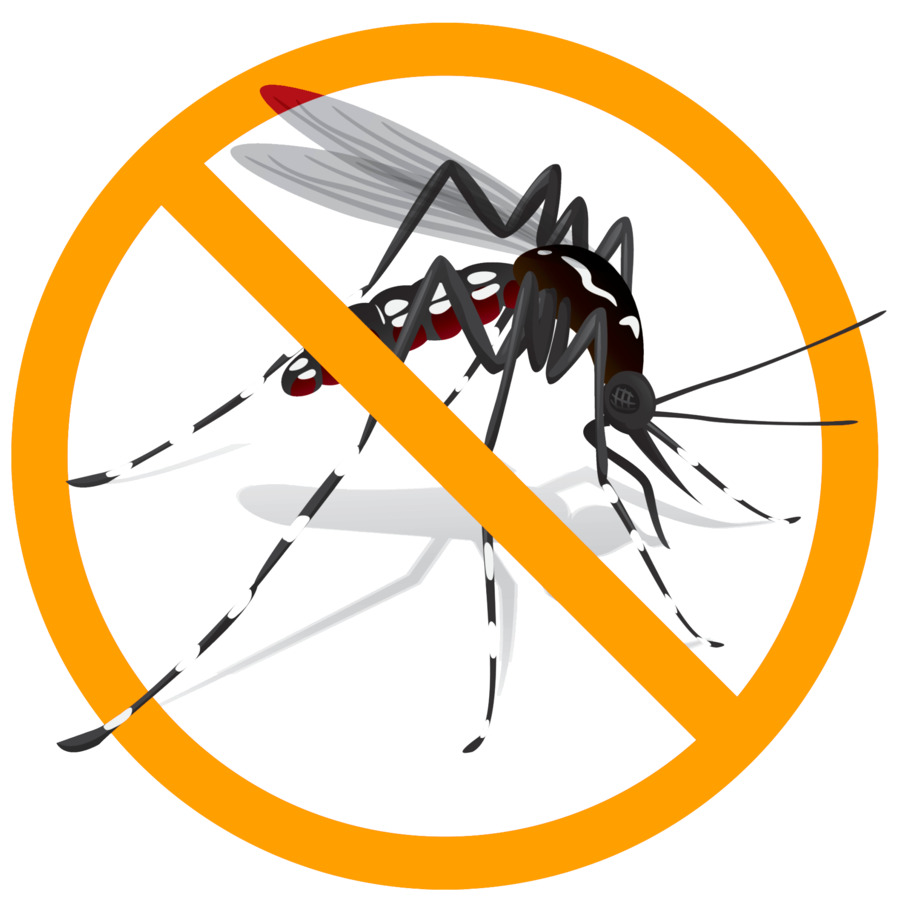 Может ли гепатит передаться через комара
