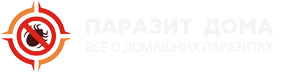 Паразит дома